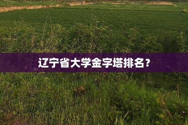 辽宁省大学金字塔排名？