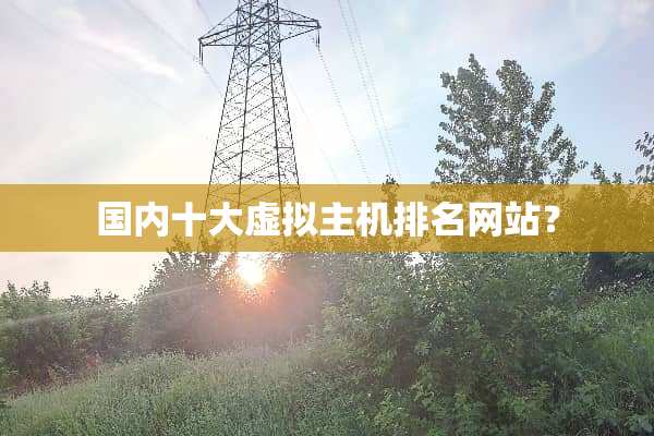 国内十大虚拟主机排名网站？