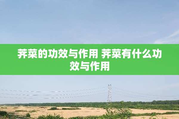荠菜的功效与作用 荠菜有什么功效与作用