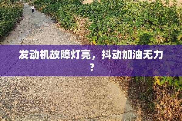 发动机故障灯亮，抖动加油无力？