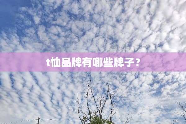 t恤品牌有哪些牌子？
