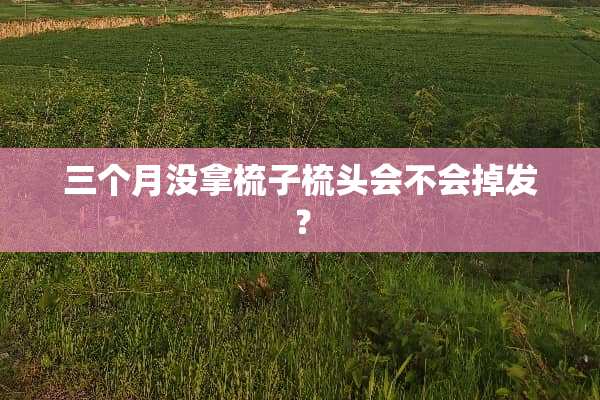 三个月没拿梳子梳头会不会掉发？