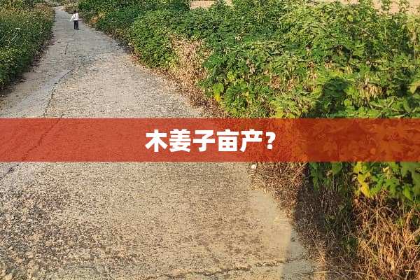 木姜子亩产？