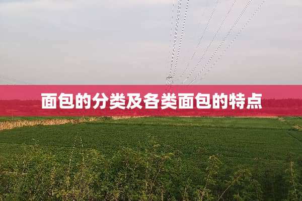 面包的分类及各类面包的特点