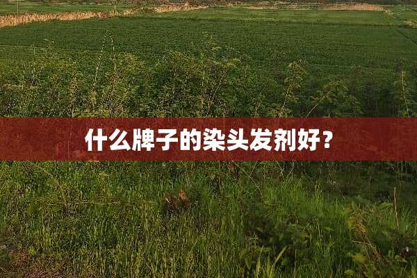 什么牌子的染头发剂好？