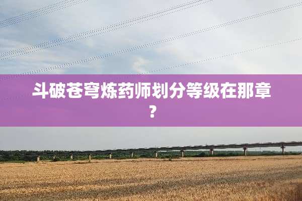 斗破苍穹炼药师划分等级在那章？