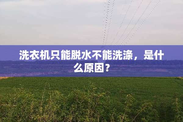 洗衣机只能脱水不能洗涤，是什么原因？