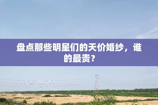 盘点那些明星们的天价婚纱，谁的最贵？