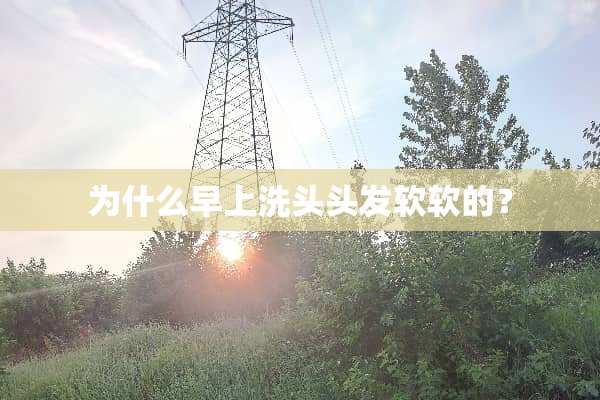 为什么早上洗头头发软软的？
