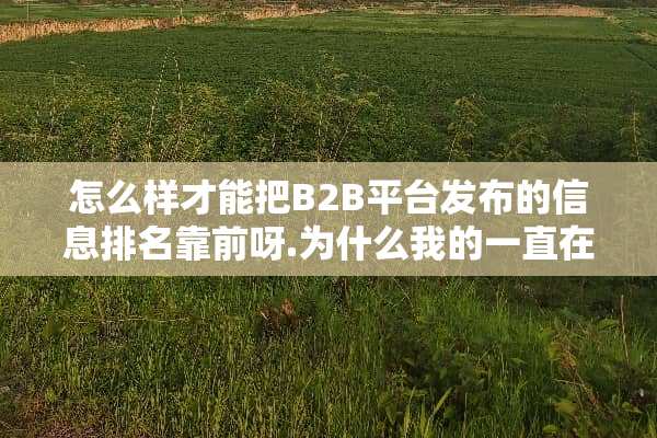 怎么样才能把B2B平台发布的信息排名靠前呀.为什么我的一直在后面