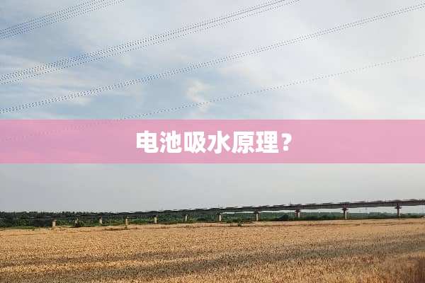 电池吸水原理？