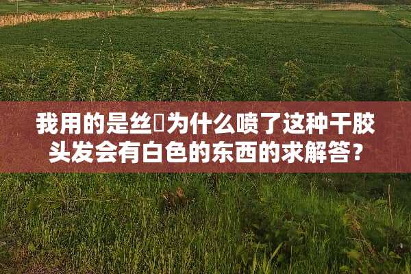 我用的是丝蕰为什么喷了这种干胶头发会有白色的东西的求解答？