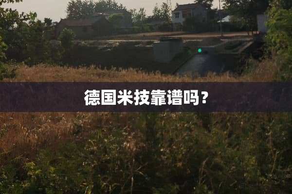 德国米技靠谱吗？