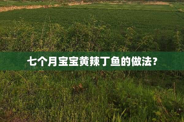 七个月宝宝黄辣丁鱼的做法？