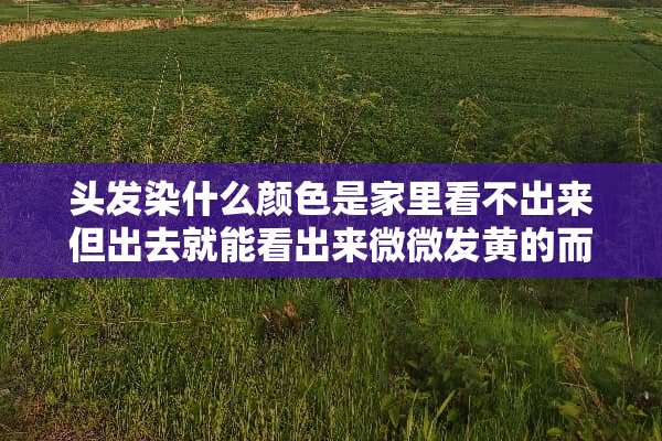 头发染什么颜色是家里看不出来但出去就能看出来微微发黄的而且很好看？