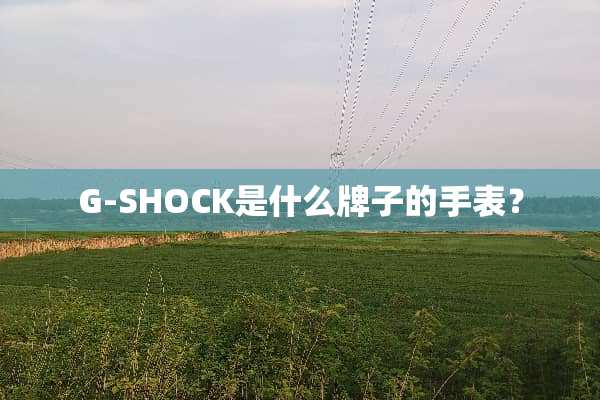 G-SHOCK是什么牌子的手表？
