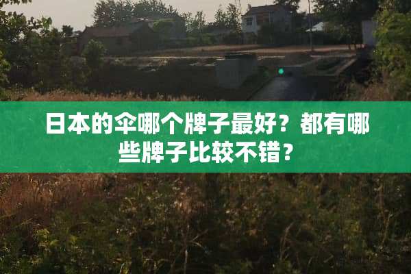 日本的伞哪个牌子最好？都有哪些牌子比较不错？