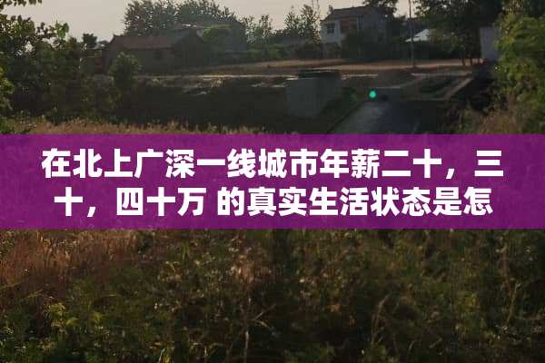 在北上广深一线城市年薪二十，三十，四十万 的真实生活状态是怎样的
