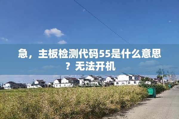 急，主板检测代码55是什么意思？无法开机