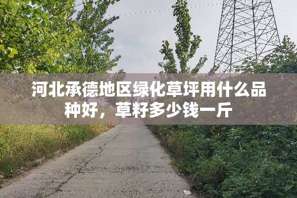 河北承德地区绿化草坪用什么品种好，草籽多少钱一斤