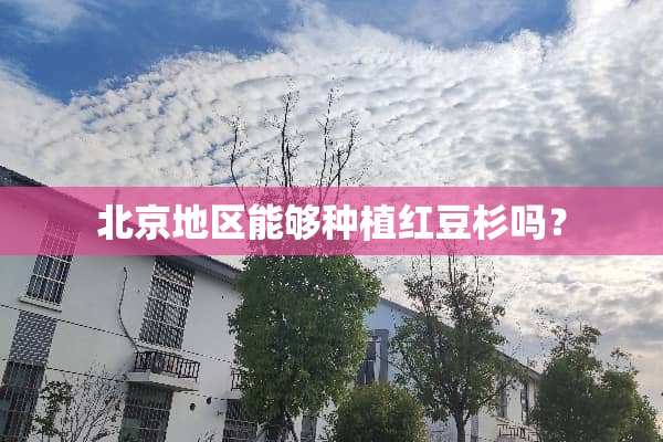 北京地区能够种植红豆杉吗？