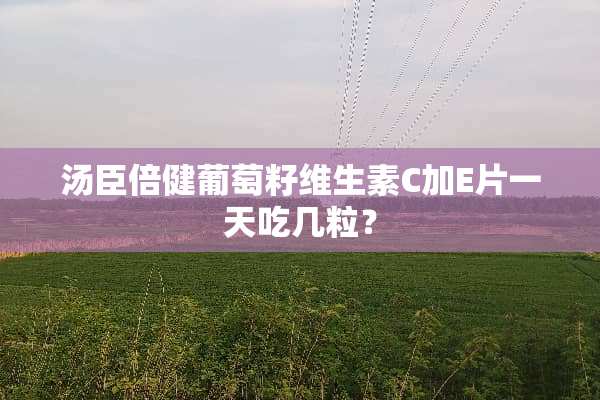 汤臣倍健葡萄籽维生素C加E片一天吃几粒？