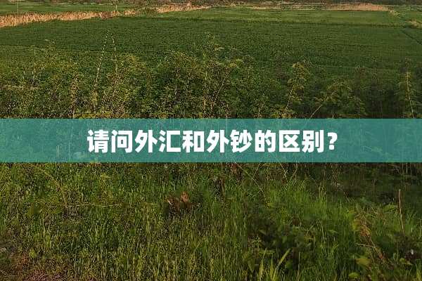 请问外汇和外钞的区别？