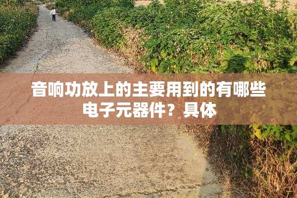 音响功放上的主要用到的有哪些电子元器件？具体