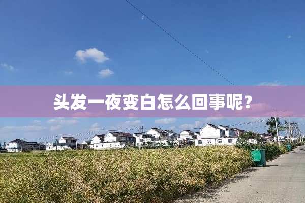 头发一夜变白怎么回事呢？