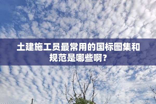土建施工员最常用的国标图集和规范是哪些啊？