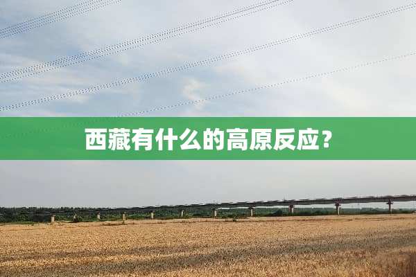 西藏有什么的高原反应？