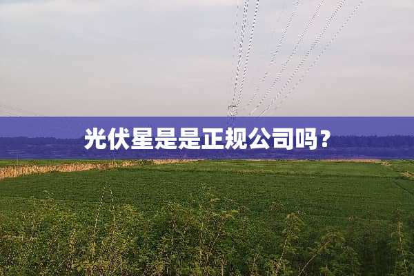 光伏星是是正规公司吗？