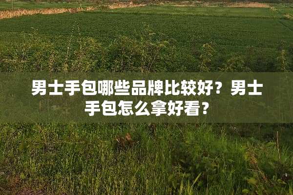 男士手包哪些品牌比较好？男士手包怎么拿好看？
