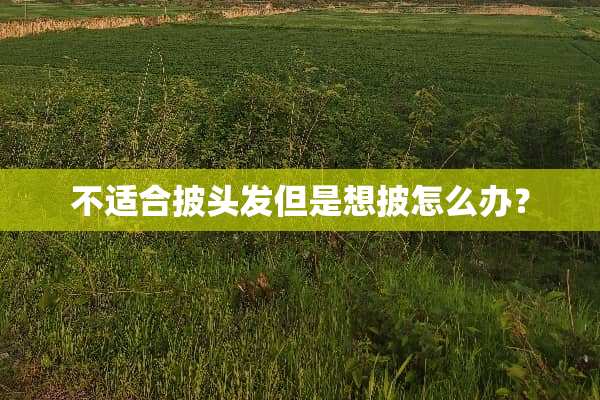 不适合披头发但是想披怎么办？