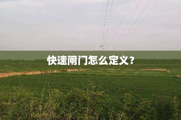 快速闸门怎么定义？