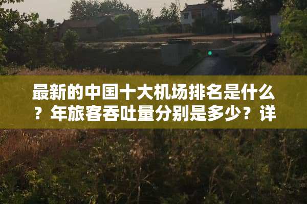 最新的中国十大机场排名是什么？年旅客吞吐量分别是多少？详细一些的，谢谢！
