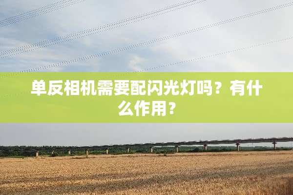 单反相机需要配闪光灯吗？有什么作用？