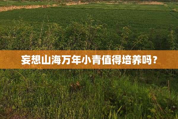 妄想山海万年小青值得培养吗？