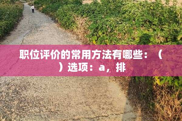 职位评价的常用方法有哪些：（）选项：a，排