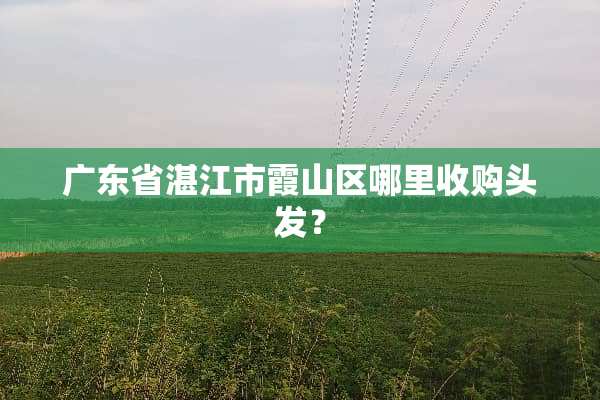 广东省湛江市霞山区哪里收购头发？
