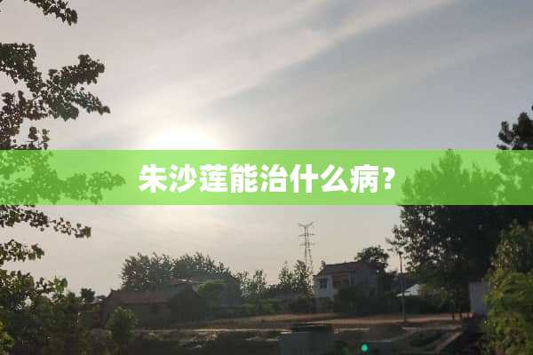 朱沙莲能治什么病？
