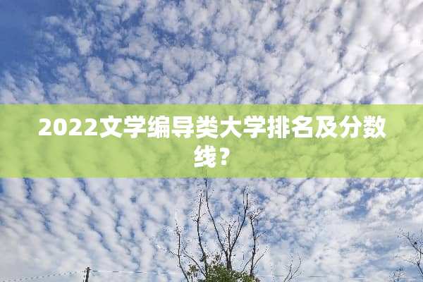 2022文学编导类大学排名及分数线？