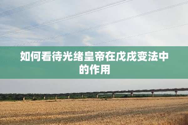 如何看待光绪皇帝在戊戌变法中的作用