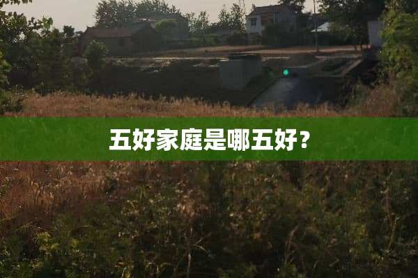 五好家庭是哪五好？