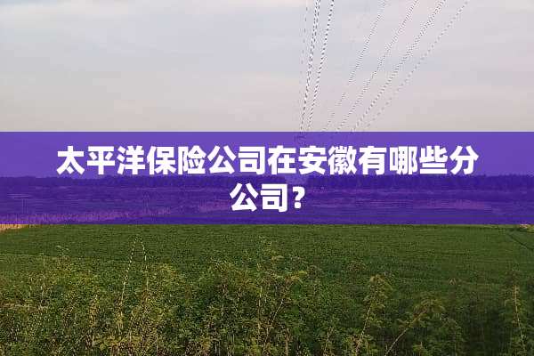 太平洋保险公司在安徽有哪些分公司？