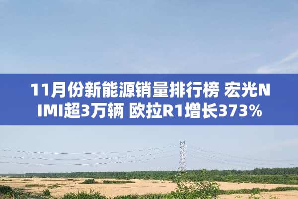 11月份新能源销量排行榜 宏光NIMI超3万辆 欧拉R1增长373%