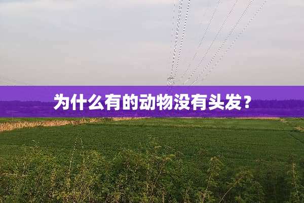 为什么有的动物没有头发？