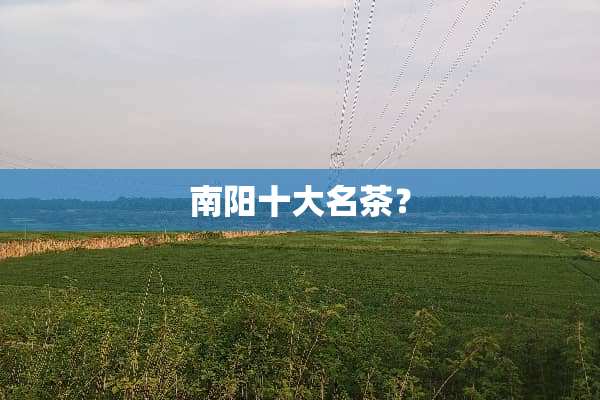 南阳十大名茶？