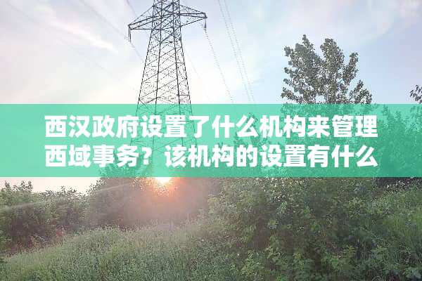 西汉**设置了什么机构来管理西域事务？该机构的设置有什么历史意义？