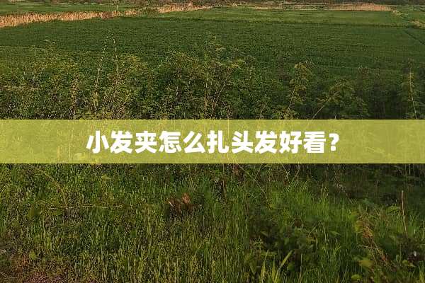 小发夹怎么扎头发好看？